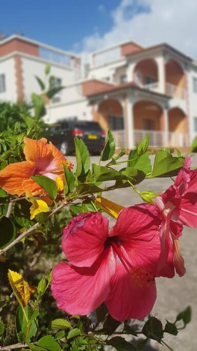 St. George'S Holiday Studio Vacation Of A Lifetime Fontenoy Екстериор снимка